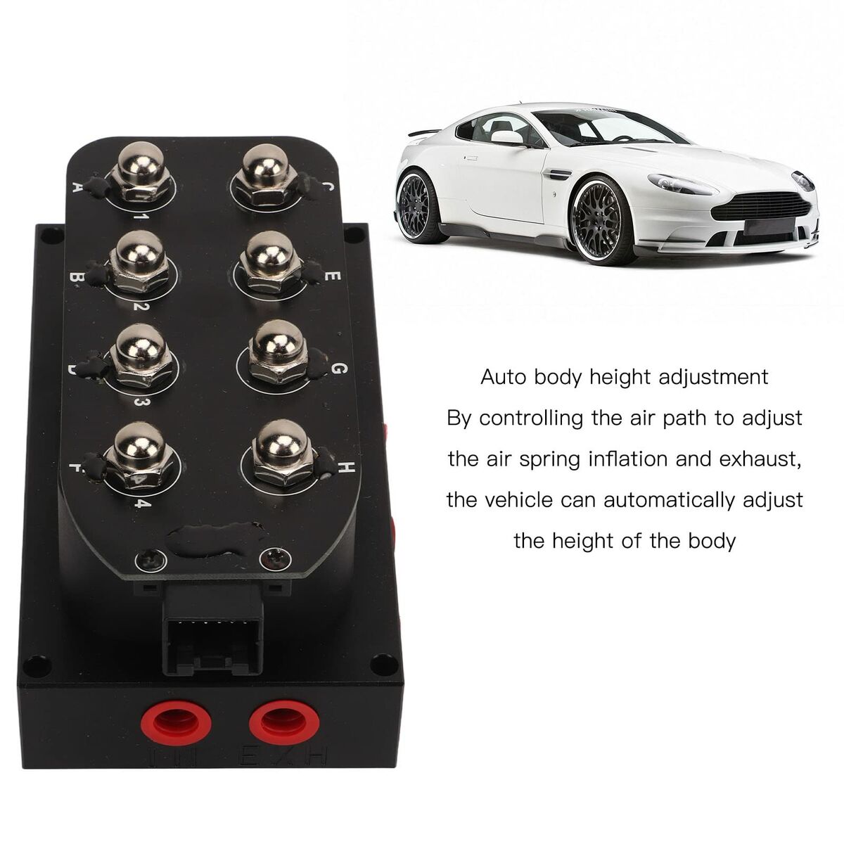 Realistic Dildo By Kiiroo