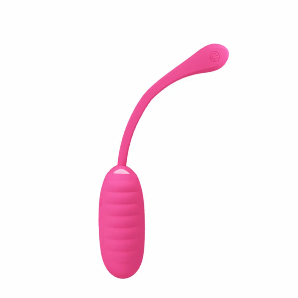 Bullet Vibrator By Pretty Love