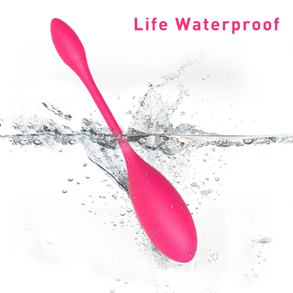 Wireless Vaginal Kegel Ball Vibrator For Women G Spot